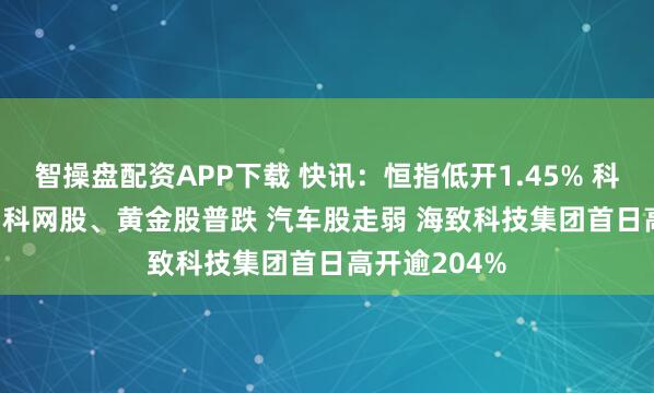 智操盘配资APP下载 快讯：恒指低开1.45% 科指跌1.59% 科网股、黄金股普跌 汽车股走弱 海致科技集团首日高开逾204%